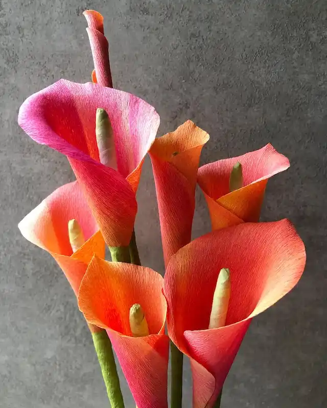 DIY paper flower ideas