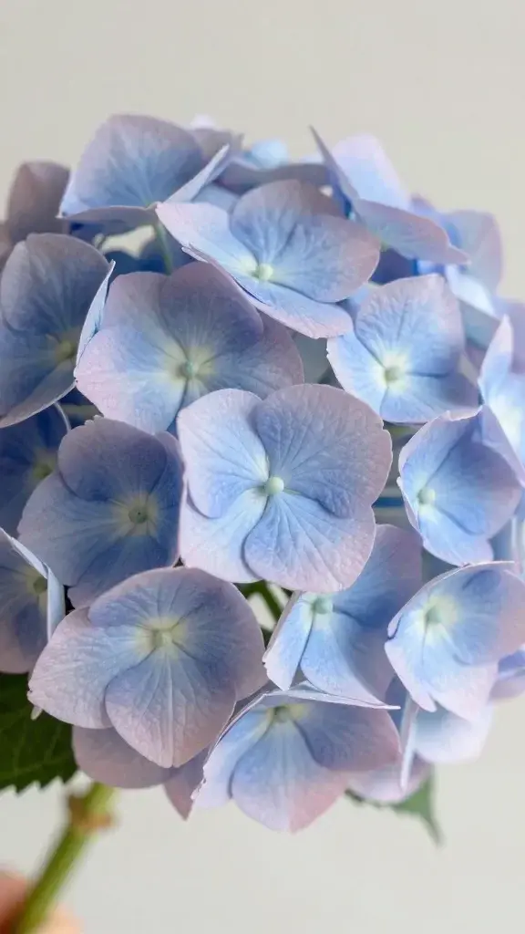 10 DIY Paper Flower Ideas That Look Amazingly Real 4 Item 3