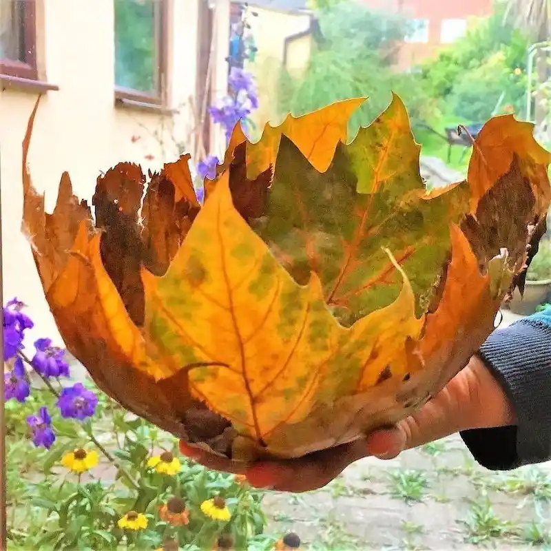 DIY Home Decor