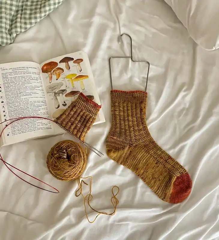 Fall Knitting Projects: 25 Cozy Autumn Makes for Beginners 25 fall knitting projects for beginners