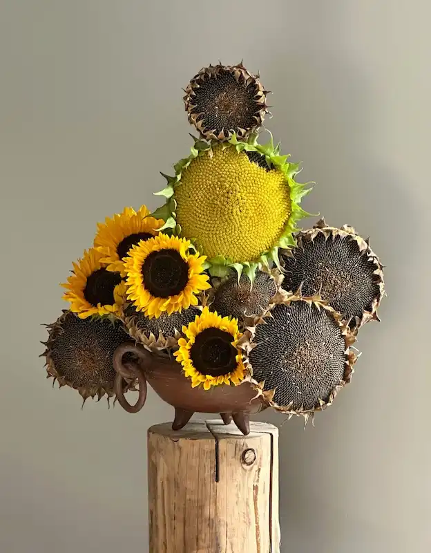 20 Best Natural Materials for Fall Decor Straight From Real Homes and Markets 14 best natural materials for fall decor
